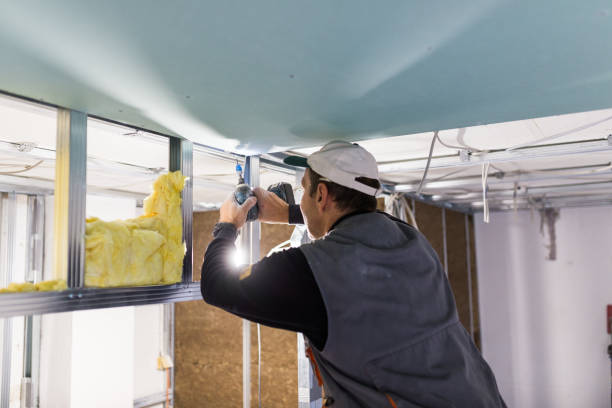 Trusted Dunedin, FL Insulation Contractor Experts