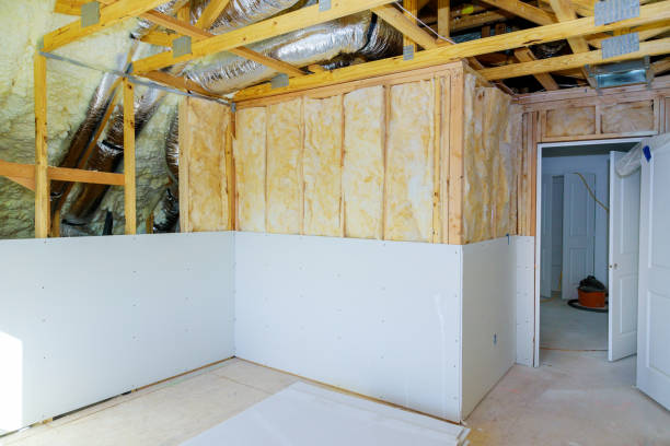 Best Crawl Space Insulation  in Dunedin, FL