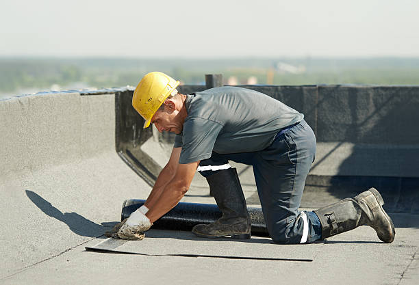 Best Best Insulation Companies  in Dunedin, FL